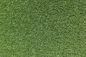 golfy-tee-grass-300×225